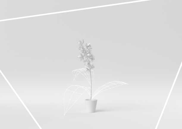 创造性的最小的纸的想法。概念白花白色背景。3d渲染，3d插图。图片下载