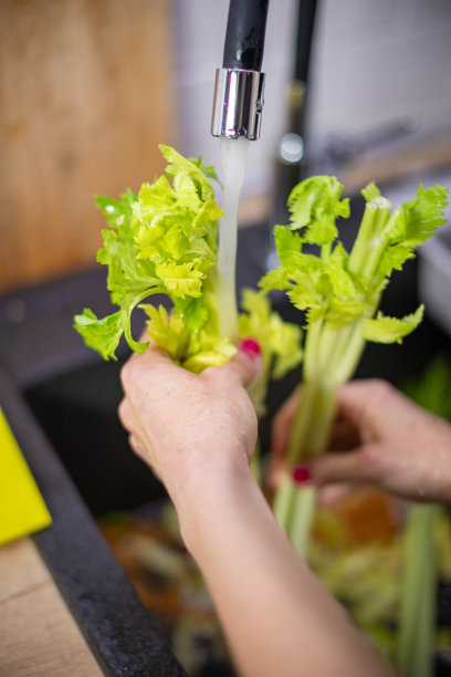 女性手握芹菜叶在水槽下流动的水图片下载