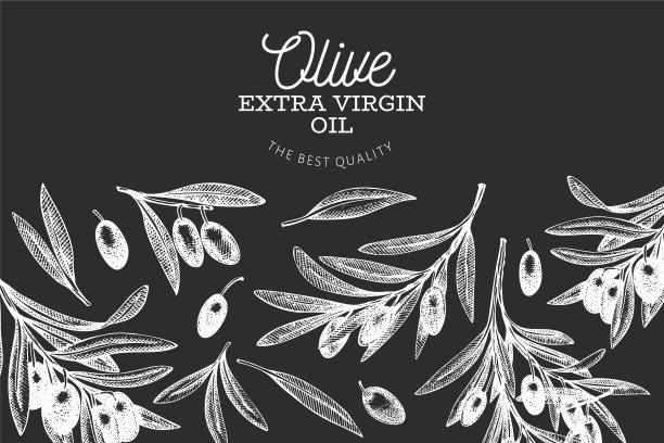 橄榄枝图案模板上手绘食物图片下载