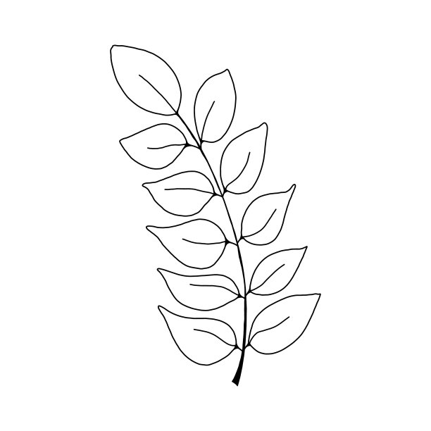 孤立的白色背景上的树叶和树枝图片下载