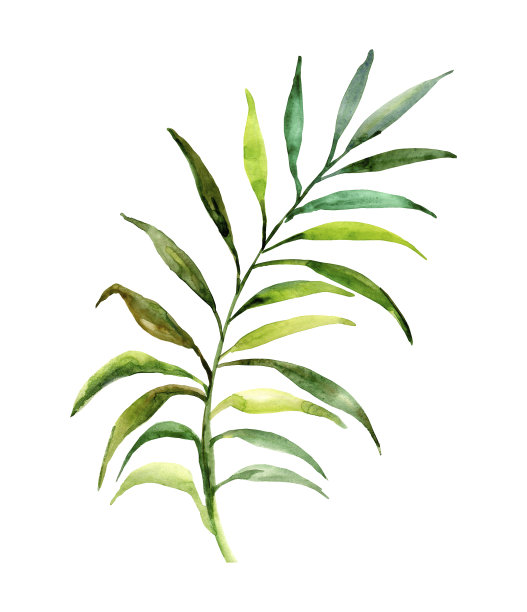 图案的秋天树的分支图片下载