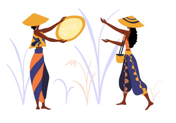 平的农民。亚洲农田稻田矢量插图集。图片下载