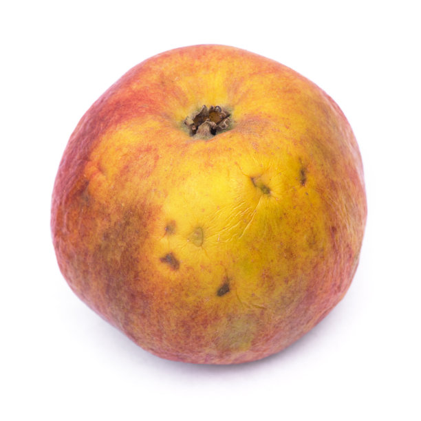 老皱纹苹果图片下载