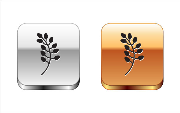 黑柳叶图标孤立在白色图片下载