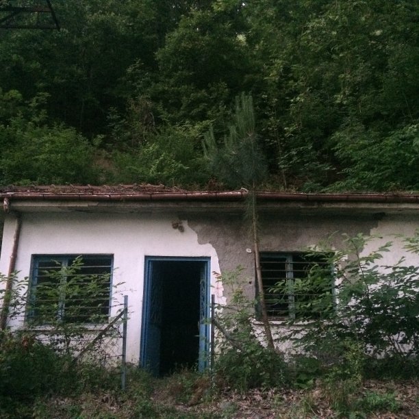 复古的房子图片下载