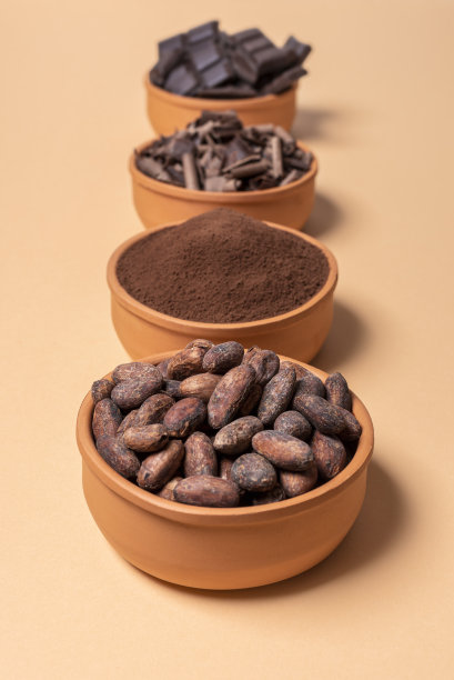 碗里的可可豆和米色背景上分离的巧克力图片下载