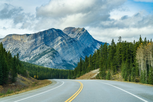 森林中的乡村道路，以山为背景。图片下载
