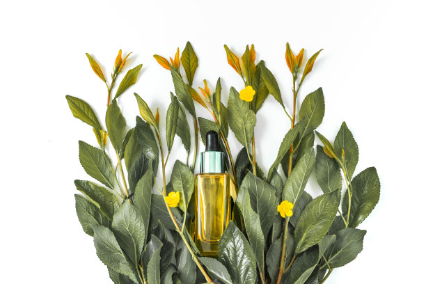 玻璃瓶与化妆品精油，新鲜的绿色枝叶孤立在白色的背景。有机天然产品。平躺，俯视图。副本的空间。图片下载