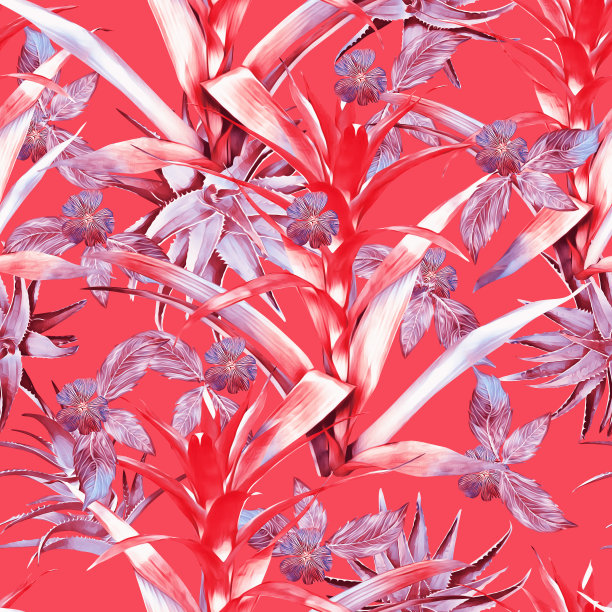 古兹曼花与芦荟和热带植物无缝图案。图片下载