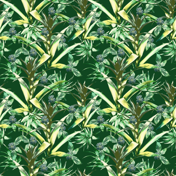 古兹曼花与芦荟和热带植物无缝图案。图片下载