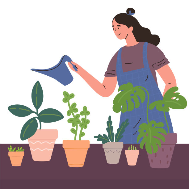 年轻女子在给室内植物浇水图片下载