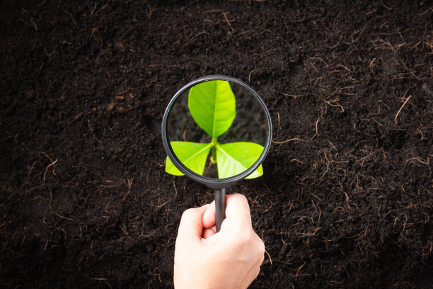 研究妇女的手拿着放大镜在黑土上图片下载