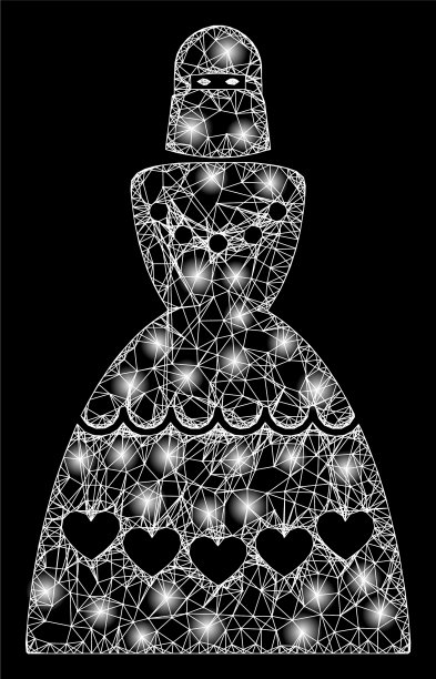 光明网络穆斯林新娘与亮点图片下载