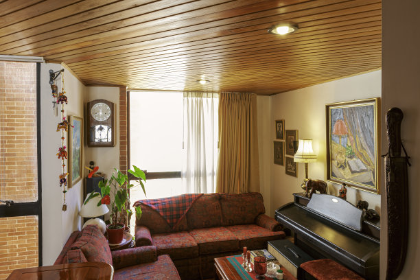 哥伦比亚波哥大——位于南美首都波哥大北部中产阶级地区的一个小公寓里的一个舒适的起居室图片下载