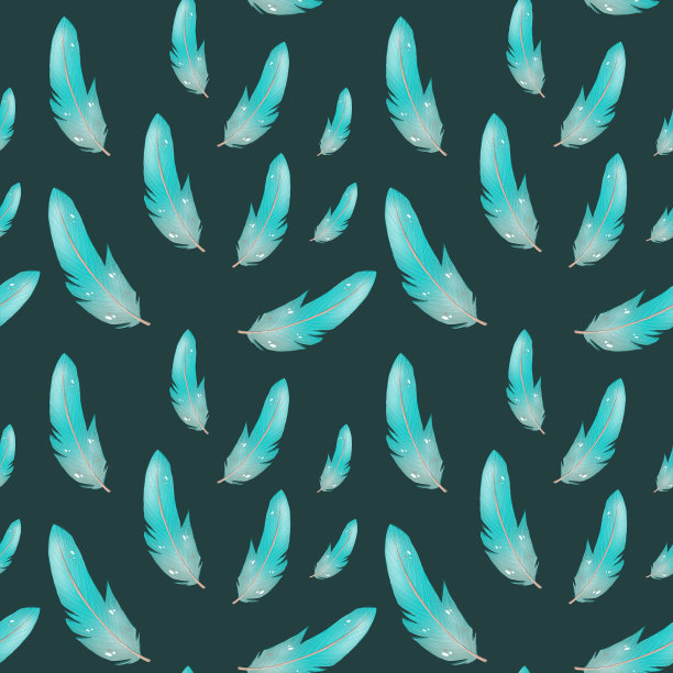 数码插图的羽毛图片下载