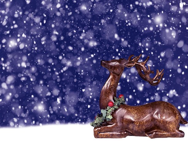 雪地里的驯鹿图片下载