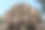 柬埔寨暹粒吴哥窟寺庙救济院图片下载