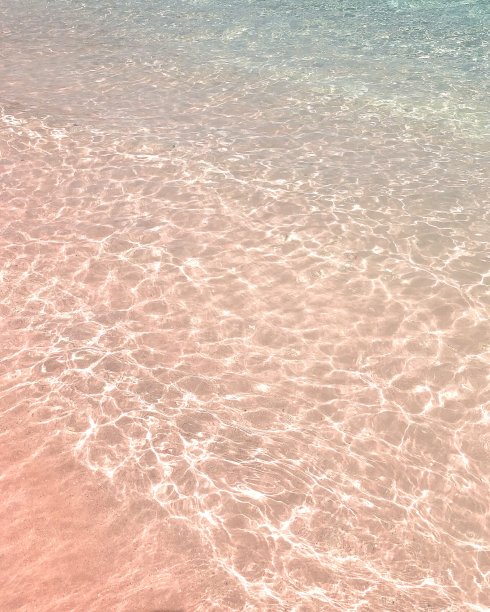 粉红色的沙滩图片下载