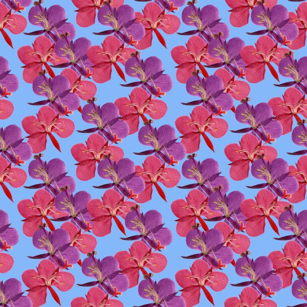 Willowherb epilobium。插图，花的纹理。用于连续复制的无缝模式。花卉背景，照片拼贴为纺织品，棉布面料。用于墙纸，封面。图片下载