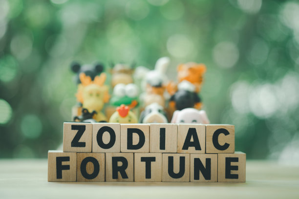 十二生肖木块文字与福气文字，模糊生肖动物背景。算命或算命的概念图片下载