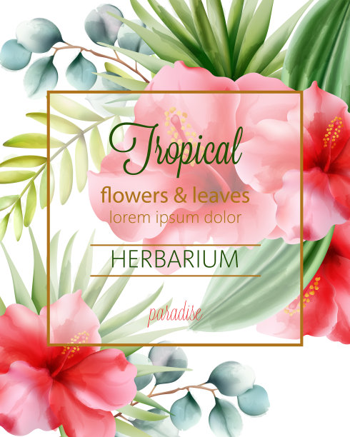 热带花叶植物标本馆配处图片下载