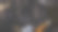 狩猎的背景。在迷彩服的背景上放着打猎的装备。带有文本位置的俯视图图片下载