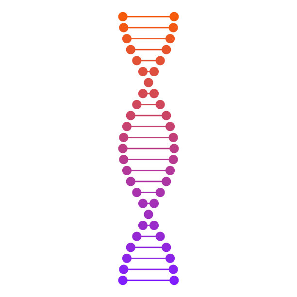 夫人 12图片下载