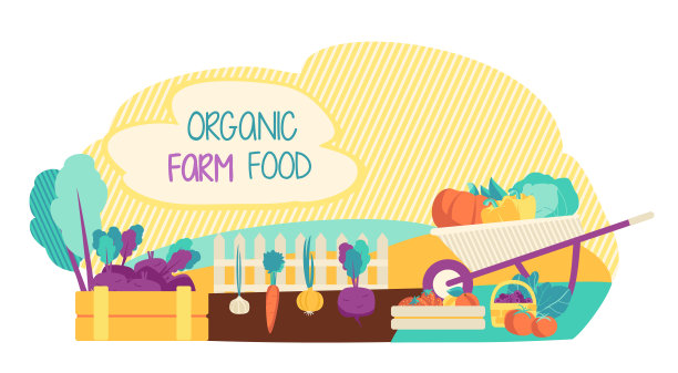 环保季节性产品。新鲜蔬菜和水果。图片下载