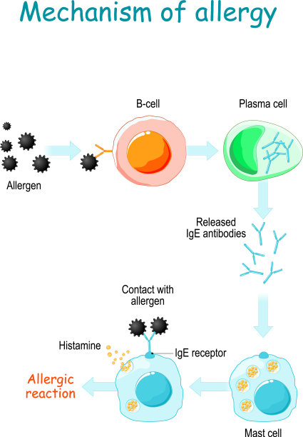 机制过敏图片下载