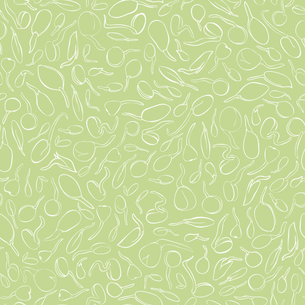 种子生长无缝模式-矢量插图。背景。素描和写意风格的微绿色。豆芽，豆泥餐馆，咖啡馆和厨房的健康和有益健康的素食食品图片下载