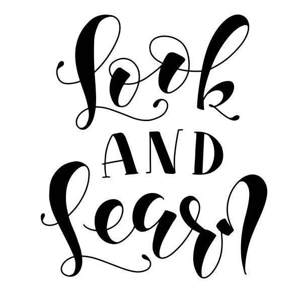 看和学习黑色手写体书法孤立的白色背景，矢量插图海报，照片叠加，贺卡，t恤打印和社交媒体。图片下载