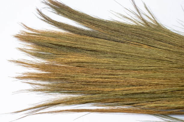 扫帚前部分孤立在白色背景图片下载