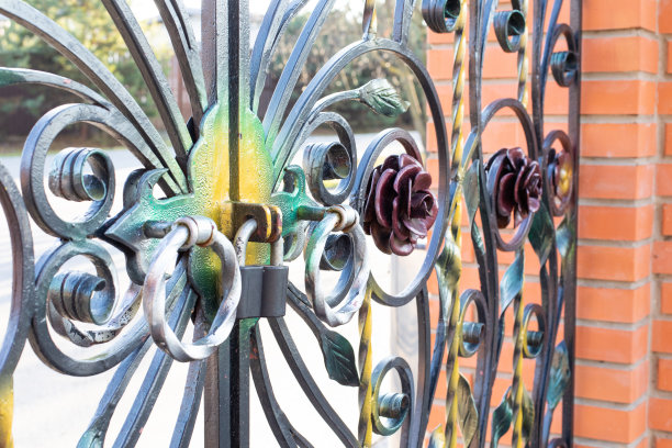 带花卉装饰的锻造花和卷曲锁铁门图片下载