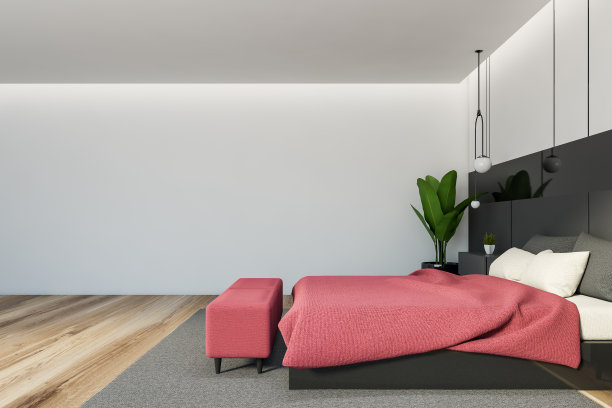 白色和黑色的主卧室，侧视图图片下载