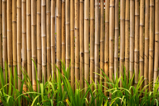 竹栅栏的纹理。底部的绿色植物图片下载