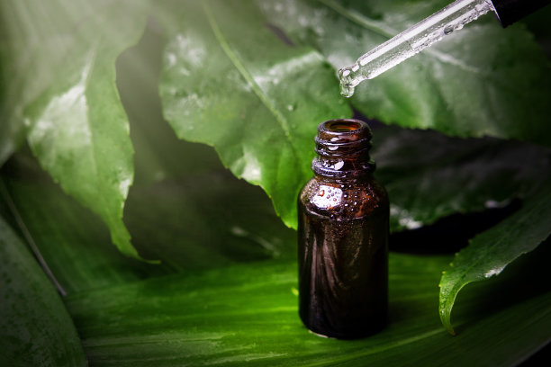 草本精华。替代医学。精油从吸管滴到叶子背景上的瓶子里图片下载