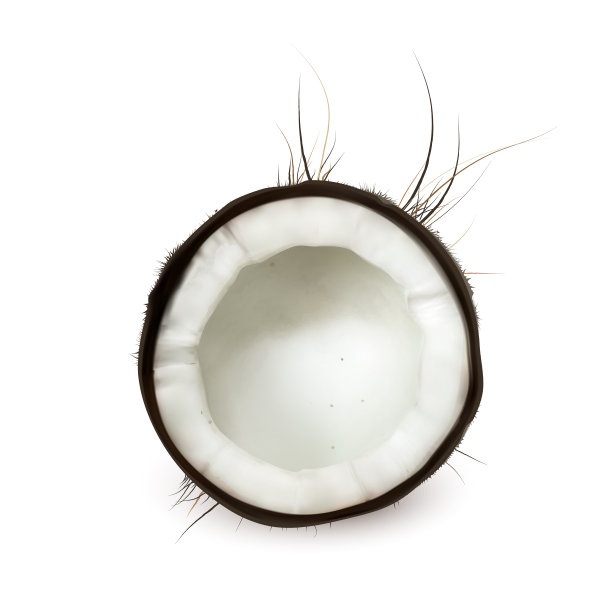 椰子半块新鲜热带坚果食物载体图片下载