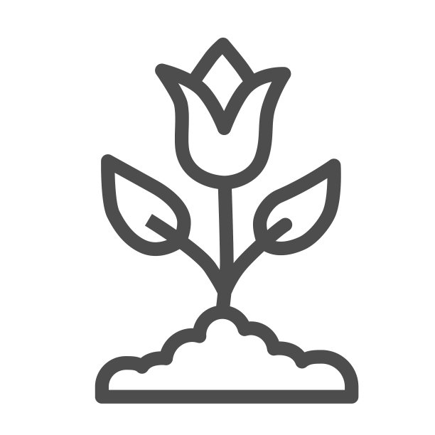 郁金香线图标春天花概念郁金香花蕾图片下载