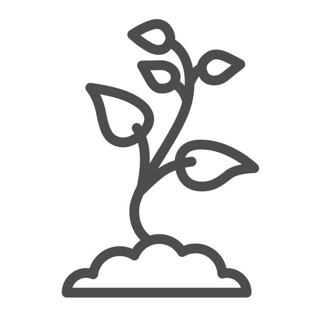秧苗多叶，线条象征自然图片下载