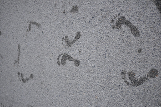 奇怪的脚印图片下载