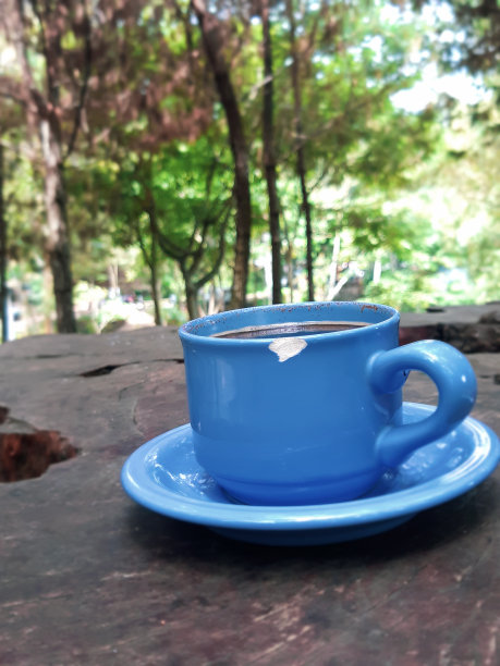 在森林中喝杯咖啡图片下载