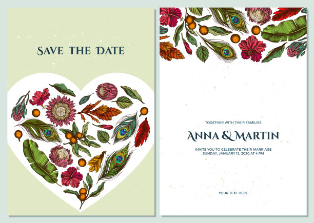 彩色的芭蕉叶、木槿、茄、凤梨、孔雀毛、protea图片下载