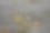 落叶图片下载