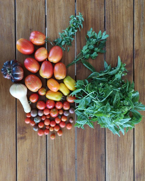 从字段到表图片下载