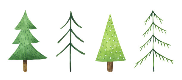 水彩一套风格化的冷杉树孤立在白色的背景图片下载