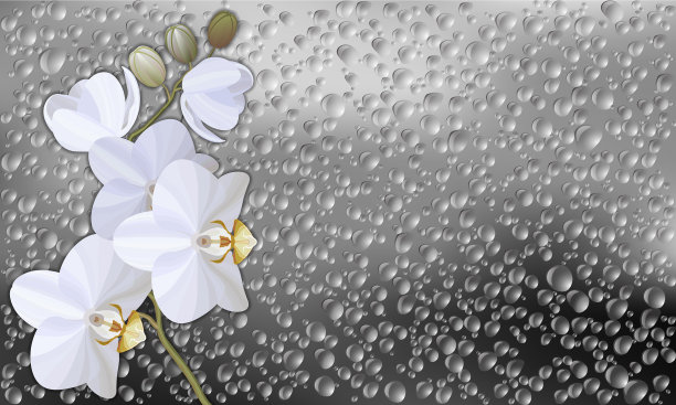 现实的小雨打在图片下载