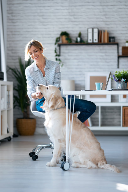 迷人的年轻女子照顾她美丽的狗，而工作与笔记本电脑在客厅在家里。图片下载
