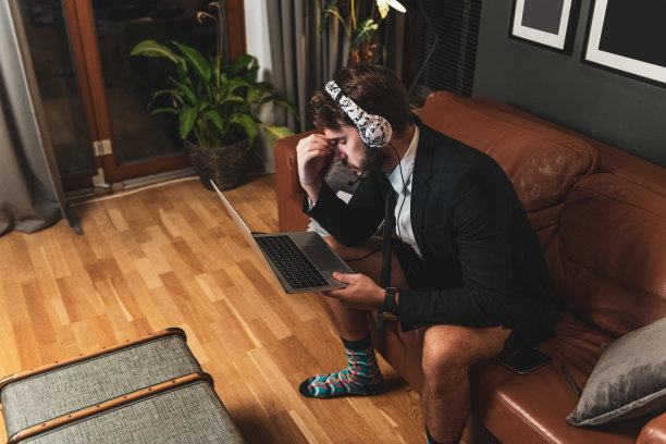 在客厅进行视频会议图片下载