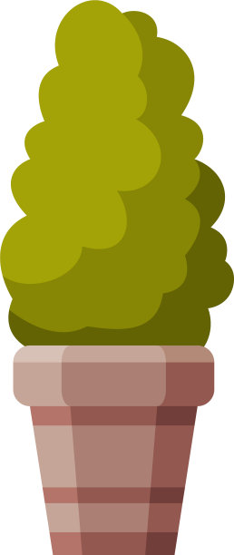 装饰树在花盆户外盆栽植物图片下载