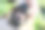 那只狗啃着地上的土，牙缝里塞满了土。图片下载